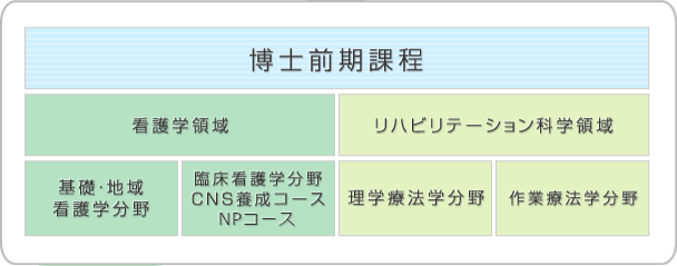 保健学専攻の構成