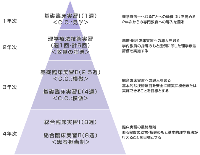 臨床教育 段階図