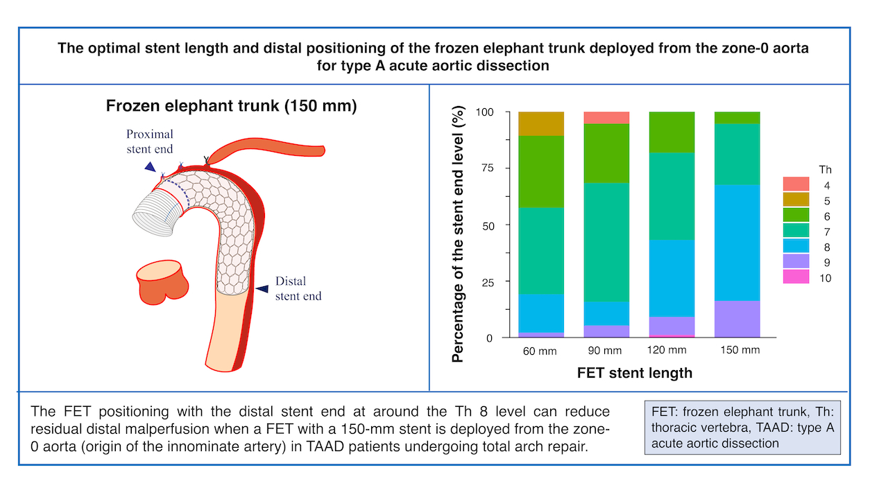 graphical abstract takagi